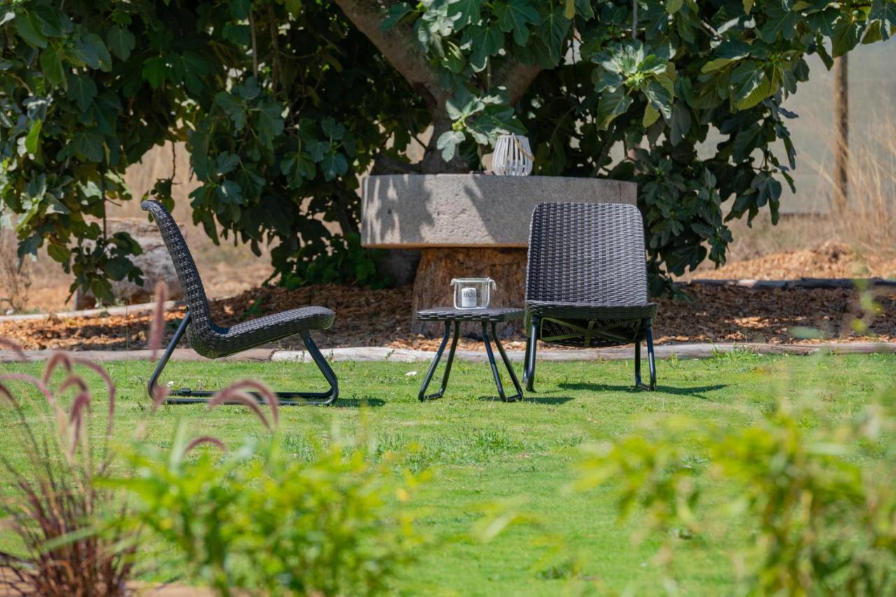 Casas Da Bica - Turismo Espaco Rural Cercal do Alentejo Екстериор снимка